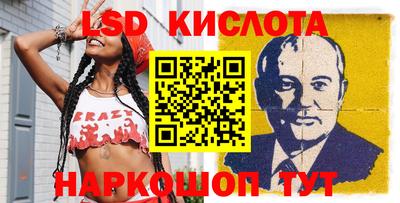 PSILOCYBIN Камышлов