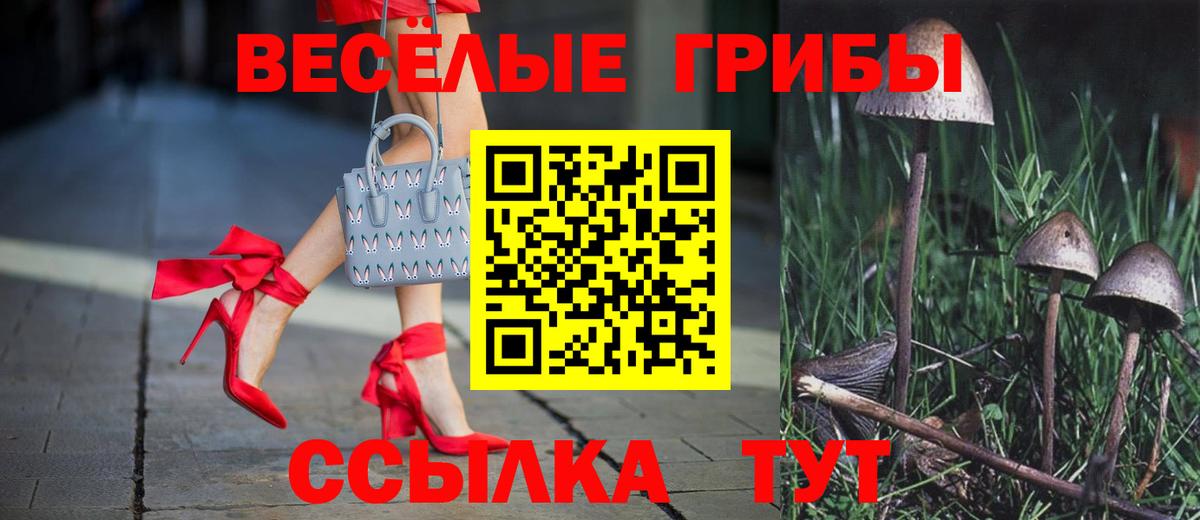 Галлюциногенные грибы GOLDEN TEACHER  Вход с VPN  Галлюциногенные грибы мицелий  наркошоп  Курчатов 